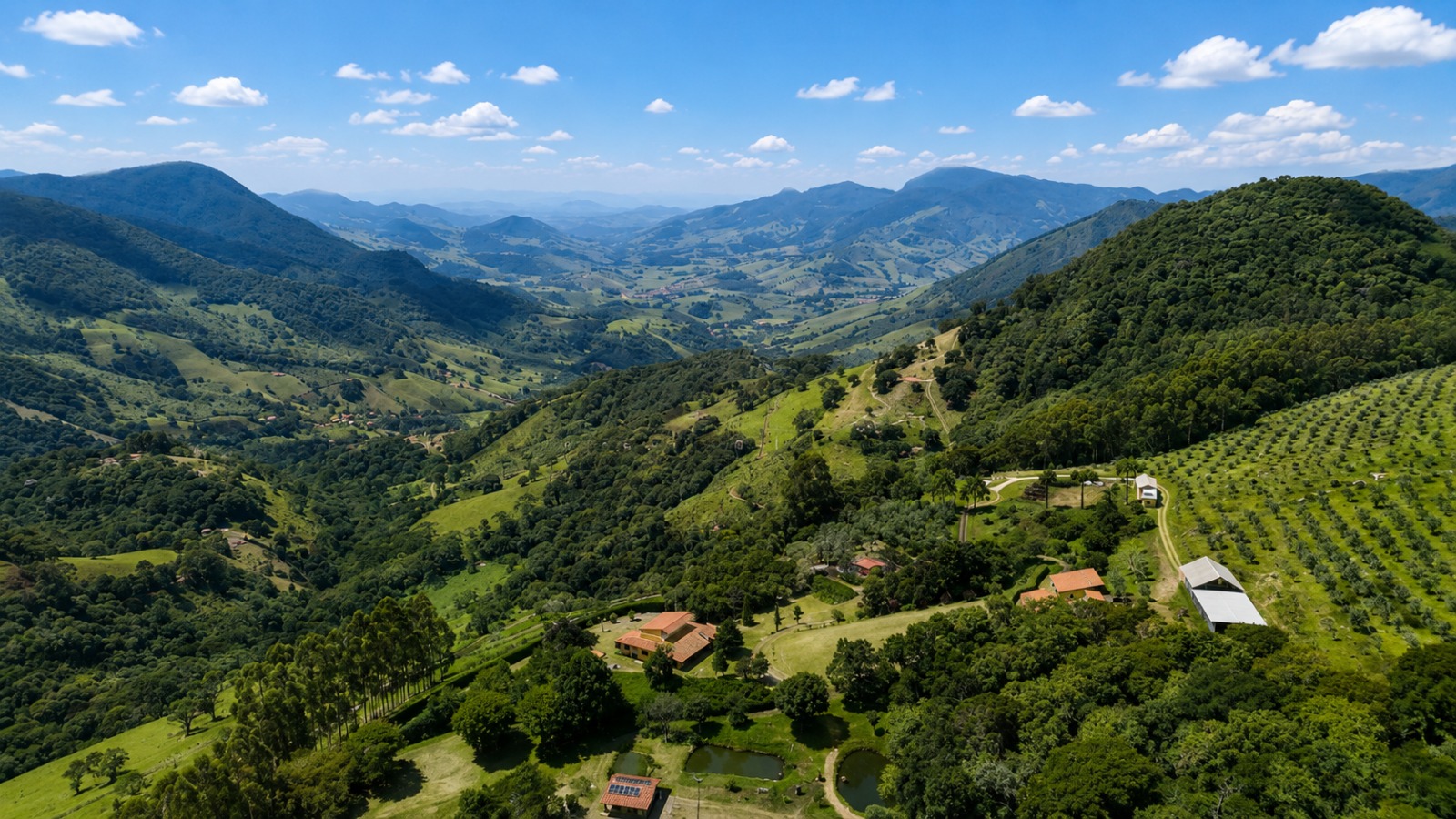 Mesa de degustação de azeite com vista para o vale